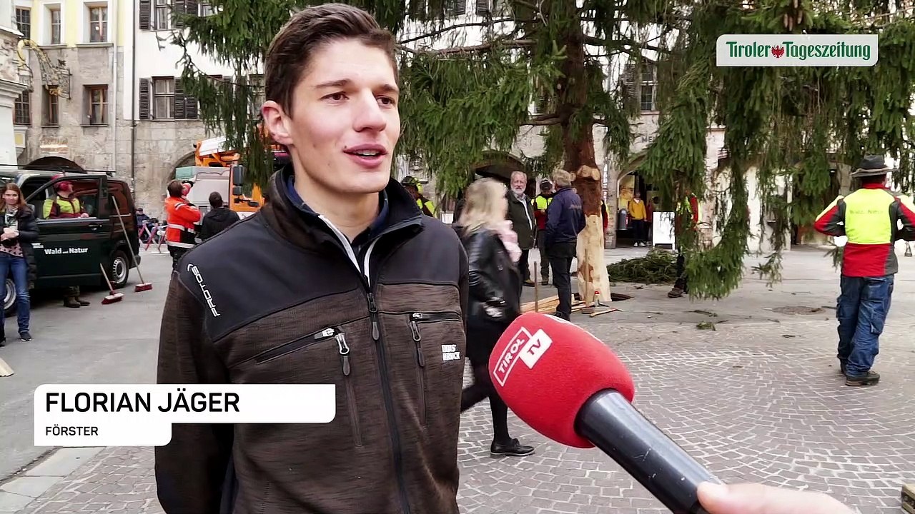 Christbaum thront ab sofort wieder vor dem Goldenen Dachl