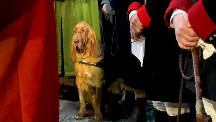 "Les animaux ont leur place aussi"