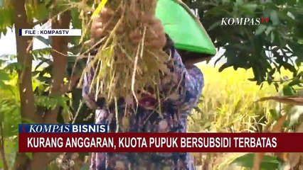 Stok Pupuk Subsisi Berkurang, Para Petani Mengaku Kesulitan