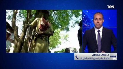 د. علي سعداوي عضو المجلس المصري للشئون الخارجية يكشف إلى آين يذهب المشهد في أديس أبابا