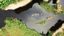 Drone Footage Jungle River