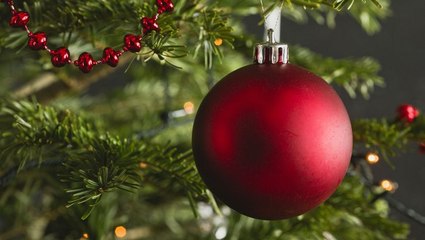 Hallmark’s 2021 Holiday Movie Lineup