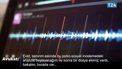 Dekan Cristopher Edling ile Pınar Dinç'in avukatı Katarina Edgren Aldefors'un mahkemedeki konuşması
