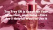 Tea Tree Oil Is Great for Your Skin, Hair, and Home—Here Are 5 Helpful Ways to Use It