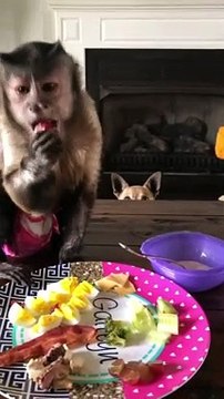 4 days until my birthday!!! If you have sent gifts we will make our last post office run friday!!! Thank you so much to all who have sent her gifts off her list!!! We can’t wait to open!!! ❤️❤️❤️❤️ have a good