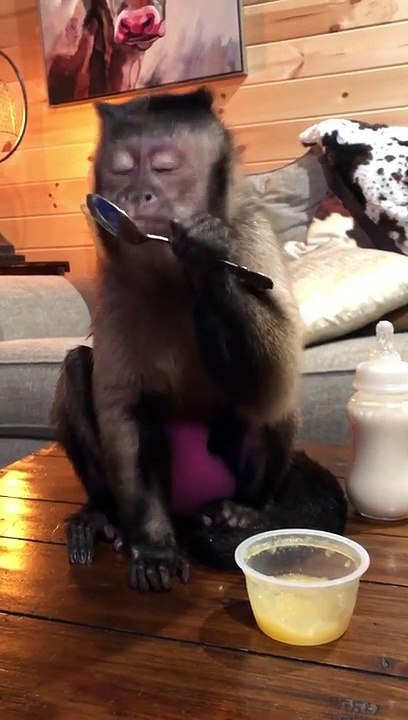 Applesauce before nite nite! Goodnight my friends!!!!