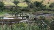 BARRAGEM DE PEDRAS DE FOGO TEM ÁGUA, ESTÁ SUJA E RACHADA