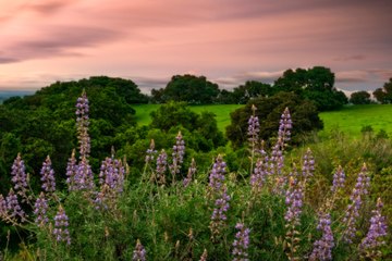 How the National Park Service Is Committing to Highlighting Native American History