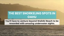The Best Snorkeling Spots in Oahu