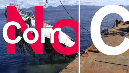 Kiemelték a júliusban lezuhant repülőgép roncsait