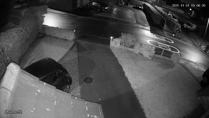CCTV captures theft