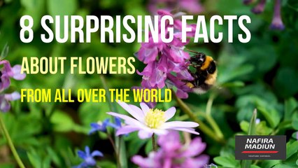 8 Surprising Facts About Flowers From All Over The World | NafiraMadiun