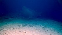 Scientists discover decades-old tanker wreck on the ocean floor