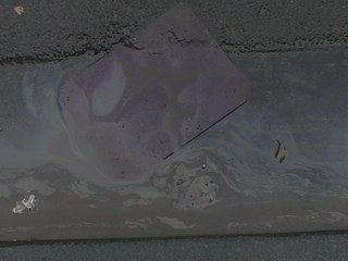 THEMOVIEOFTHEYEAR 28 février 2008