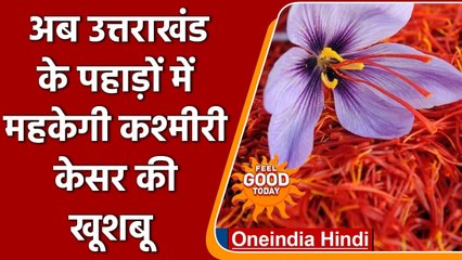 Uttarakhand की Harshil घाटी में महक रही है Kashmir के Kesar की खुशबू | वनइंडिया हिंदी