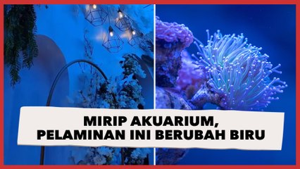 Malah Mirip Akuarium, Pelaminan Ini Berubah Biru Akibat Salah Pilih Warna Tenda
