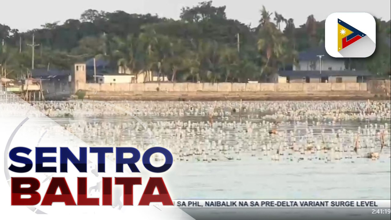Mga ilegal na sapra o fish traps sa bahagi ng Manila Bay na sakop ng Cavite, binaklas ng Manila Bay Inter-Agency Task Force