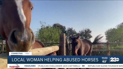 Local rescue group speaks out on mistreatment of horses