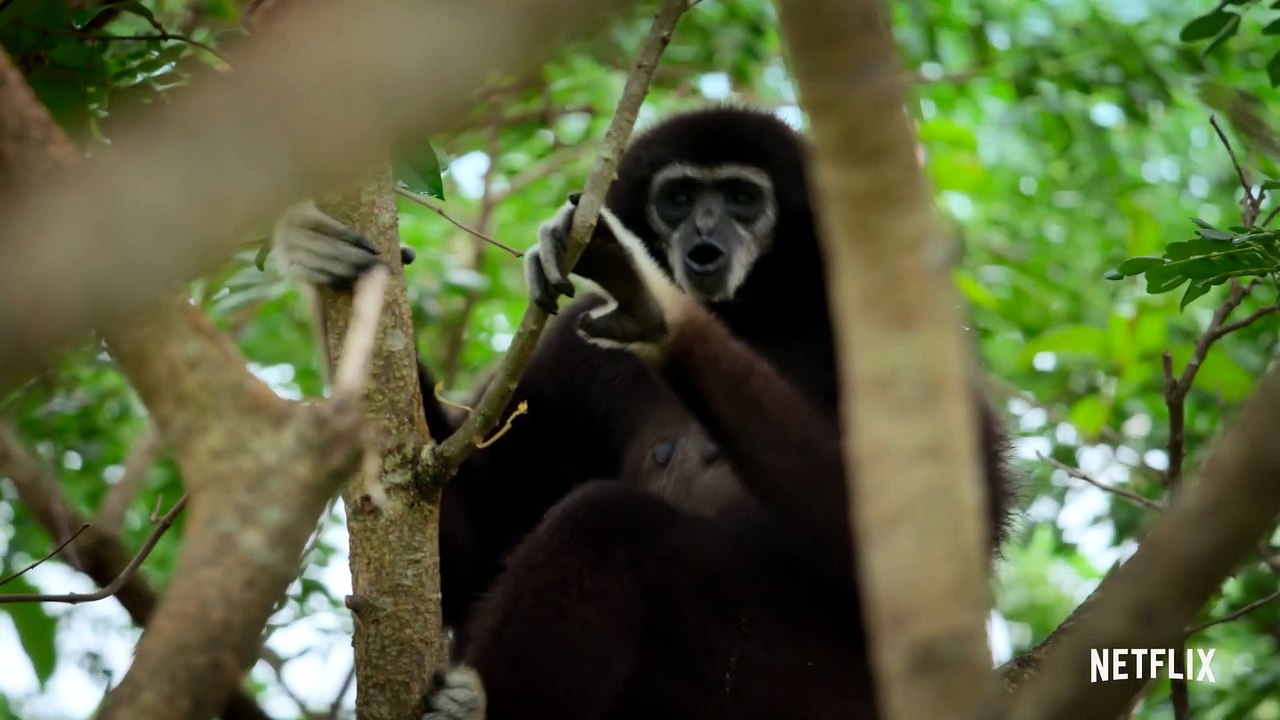 Das Tier - S01 Trailer (Deutsch) HD