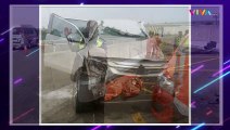 Innalillahi, Vanessa Angel dan Suami Tewas Kecelakaan di Tol