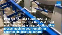 Les couettes Castex ne connaissent pas la crise