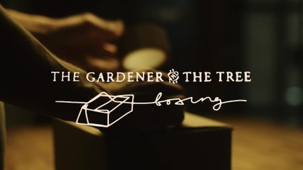 The Gardener & The Tree - boxing