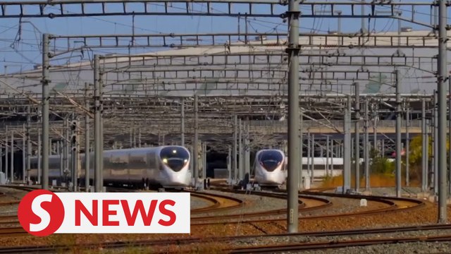 High-speed rail service helps deliver parcels during China's online shopping spree