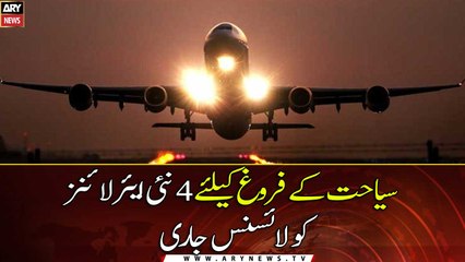Four new airlines get tourism licence