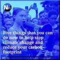 Climate Change - Five things that you can do now to help stop climate change and reduce your carbon footprint