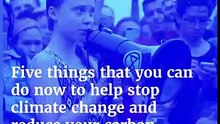 Climate Change - Five things that you can do now to help stop climate change and reduce your carbon footprint