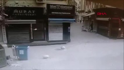 SOKAK HAYVANLARINA ŞİDDETİ ÖNLENEMİYOR