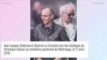 Jean-Jacques Goldman ne touche plus un instrument : révélations sur son état physique