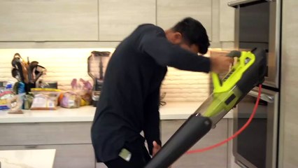 Trying to get animal hair OFF your clothes