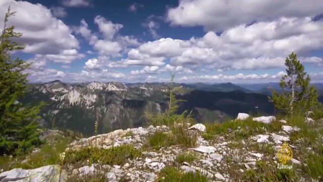 ناشونال جيوغرافيك أبوظبي _ وثائقي- الغابة السوداء