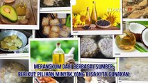 Simak,Alternatif Pengganti Minyak Sawit untuk Menggoreng