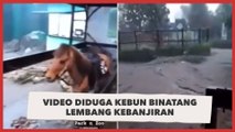Viral Video Diduga Kebun Binatang Lembang Kebanjiran, Seekor Kuda Bertahan Diterjang Air