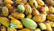 The Role of Fairtrade in Agriculture: The Gaase Story– Food Chain on Joy Business (4-11-21)