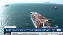 Los Angeles ports blockage costing farmers money
