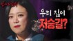 [HOT]A house full of signs on the afterlife path., 심야괴담회 211104 방송