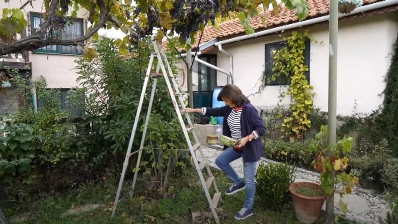 Da, wo es Perlen regnet