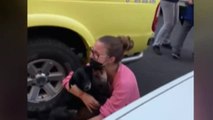 El emocionante encuentro de una familia de La Palma con sus perros perdidos