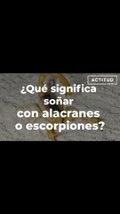 ¿Qué significa soñar con alacranes o escorpiones? | ActitudFem