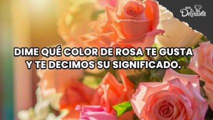 Dime qué color de rosa te gusta y te decimos su significado.| Cocina Delirante