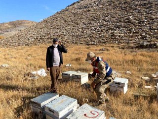 Bitlis'te küçükbaş hayvan ve arı kovanı çalan şahıslar yakalandı