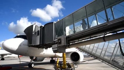 Iberia prueba el primer vuelo con biocombustible sostenible