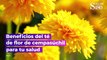 Beneficios del té de flor de cempasúchil para tu salud | Salud180