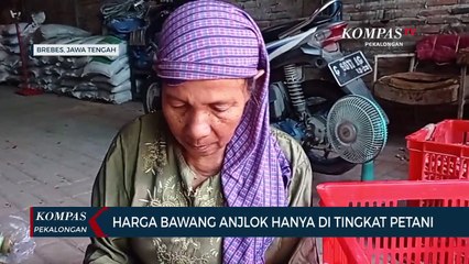 Harga Bawang Anjlok Hanya di Tingkat Petani