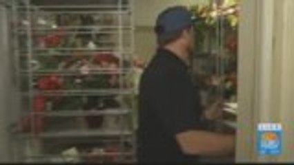 6,250 Red Roses: A Look inside the Desert's Oldest Flower Shop on Valentine's Day