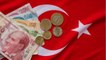 Turquie : la livre plonge après l’abaissement du taux d’intérêt, un geste “incroyable” de la banque centrale !