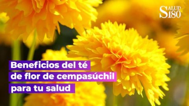 Beneficios del té de flor de cempasúchil para tu salud | Salud180